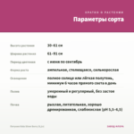 Петуния Vista Silver Berry (0,1л) — параметры сорта