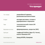 Петуния Vista Silver Berry (0,1л) — что приедет
