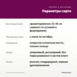 Петуния Viva Purple Vein (0,1л) — параметры сорта