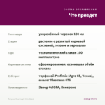 Петуния Viva Purple Vein (0,1л) — что приедет