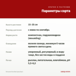 Петуния Viva Red (срез/5шт) — параметры сорта