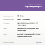 Петуния Vivini Blue Star (0,1л) — параметры сорта