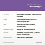 Петуния Vivini Blue Star (0,1л) — что приедет
