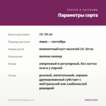 Петуния Vivini Burgundy (0,1л) — параметры сорта