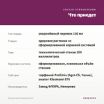Петуния Vivini Burgundy (0,1л) — что приедет