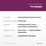 Петуния Vivini Burgundy (срез/5шт) — что приедет