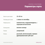 Петуния Vivini Pink (0,1л) — параметры сорта