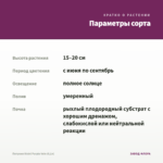 Петуния Vivini Purple Vein (0,1л) — параметры сорта