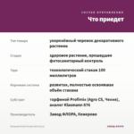 Петуния Vivini Purple Vein (0,1л) — что приедет
