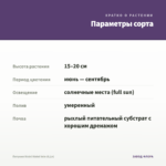 Петуния Vivini Violet Vein (0,1л) — параметры сорта