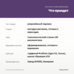 Петуния Vivini Violet Vein (0,1л) — что приедет