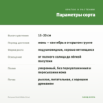Петуния Vivini White (0,1л) — параметры сорта