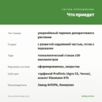 Петуния Vivini White (0,1л) — что приедет