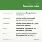 Петуния White Ray (0,1л.) — параметры сорта