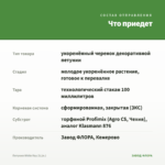 Петуния White Ray (0,1л.) — что приедет
