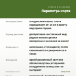 Пилея Депресса (0,1л.) — параметры сорта