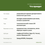 Пилея Депресса (0,1л.) — что приедет