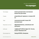 Пилея Моховидная (0,1л) — что приедет