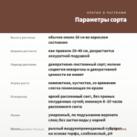 Пилея Спруса Silver Tree (0,1л) — параметры сорта