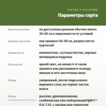 Плектрантус дуболистный (0,1л) — параметры сорта