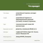 Плектрантус дуболистный (0,1л) — что приедет