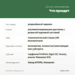 Плектрантус Эртендаля (0,1л) — что приедет