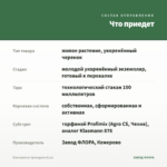 Плектрантус Эртендаля (0,1л) — что приедет