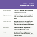 Плектрантус Эртендаля (срез/1шт) — параметры сорта