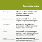 Плектрантус Форстера Salad (0,1л) — параметры сорта