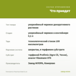 Плектрантус Форстера Salad (0,1л) — что приедет
