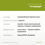 Плектрантус Форстера Salad срез/1 шт — что приедет