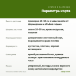 Плектрантус Golden Ruffles (0,1л) — параметры сорта