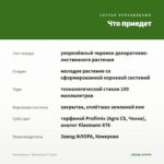 Плектрантус "Маргинатус" (0,1л) — что приедет