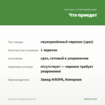 Плектрантус Маринка (срез/1шт) — что приедет