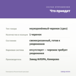 Плектрантус Реснитчатый (срез/1шт) — что приедет
