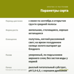 Плектрантус Тroy's Gold (срез/1шт) — параметры сорта