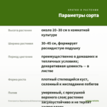 Плектрантус Вариегатный/Комнатная Мята (0,1л) — параметры сорта
