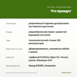 Плектрантус Вариегатный/Комнатная Мята (0,1л) — что приедет