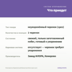 Плектрантус Вариегатный/Комнатная Мята (срез/1шт) — что приедет
