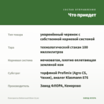 Плектрантус Войлочный Silver (0,1л) — что приедет