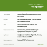 Плектрантус Южный (0,1л) — что приедет