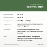 Плющ Арборесценс обыкновенный (0,1л) — параметры сорта