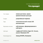 Розмарин (0,1л) — что приедет