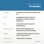 Розмарин Маресме (0,1л) — что приедет