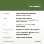 Сантолина Серебристая (0,1л) — что приедет