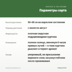 Сантолина Зеленая (0,1л) — параметры сорта