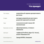 Сцевола Abanico Blue (0,1л.) — что приедет