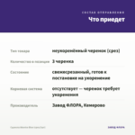 Сцевола Abanico Blue (срез/3шт) — что приедет