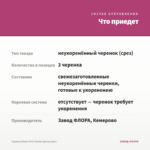 Сцевола Baby Pink Touch (срезы/3шт) — что приедет