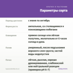 Сцевола Bali Blue (0,1л) — параметры сорта